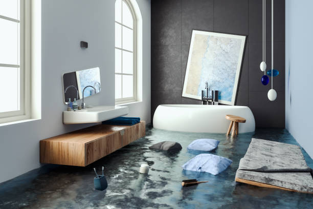 Best 24/7 water damage repair  in Flossmoor, IL