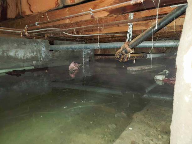 Best 24-hour water damage restoration  in Flossmoor, IL