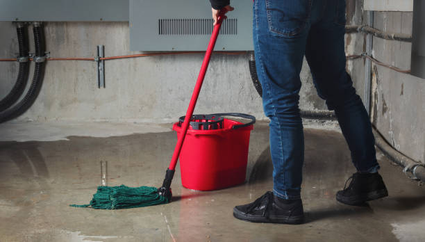 Flossmoor, IL Water damage restoration Company