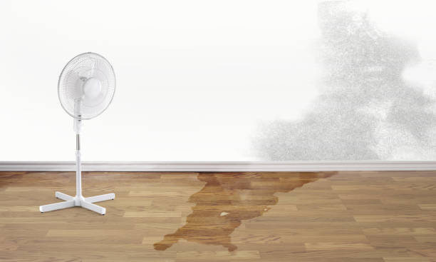 Best Water damage restoration near me  in Flossmoor, IL