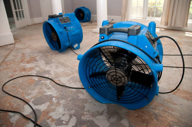 Best Sewage cleanup and water damage restoration  in Flossmoor, IL