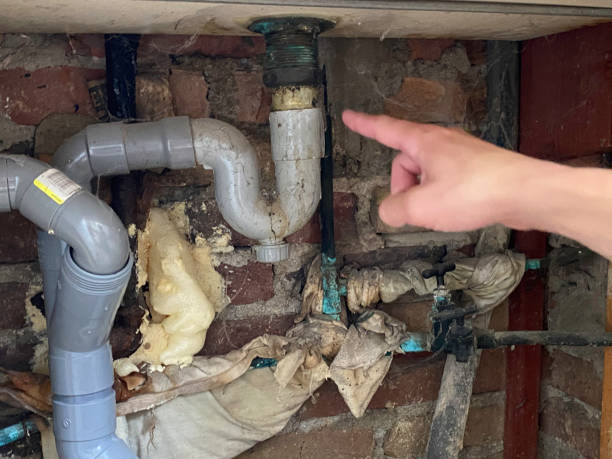 Best 24/7 water damage repair  in Flossmoor, IL